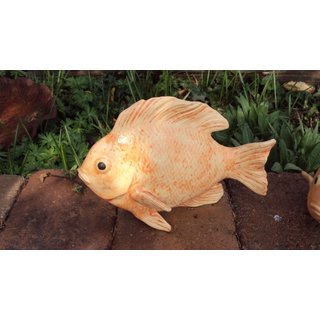 Fisch / Goldfisch Nr. 22